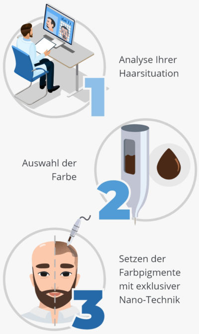 Infografik über den Verlauf der Haarpigmentierung für die Kurzhaarfrisur